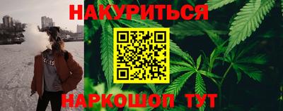 сатива Краснодар