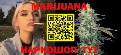 сатива Краснодар