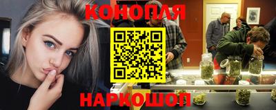 сатива Краснодар