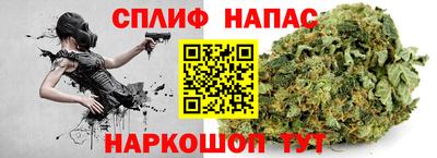 сатива Краснодар