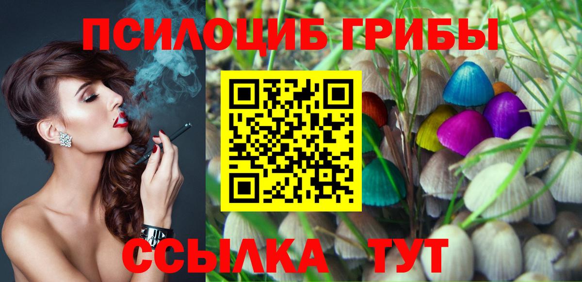Галлюциногенные грибы Psilocybe  Вход с VPN  Петровск 