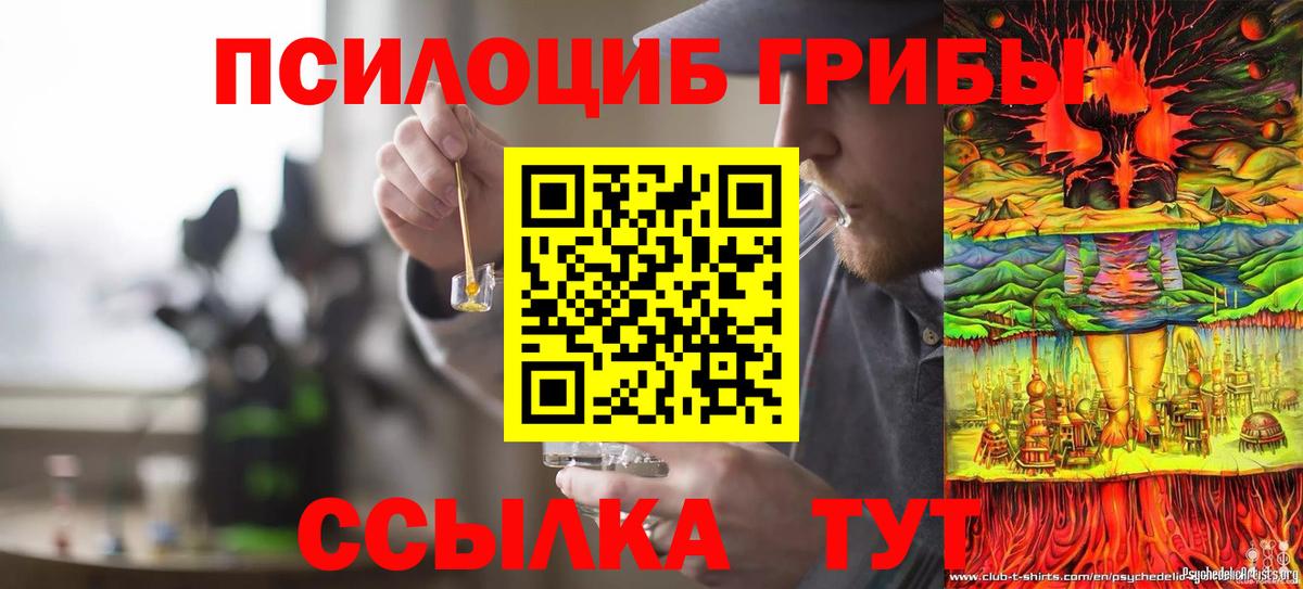 Псилоцибиновые грибы мухоморы Петровск